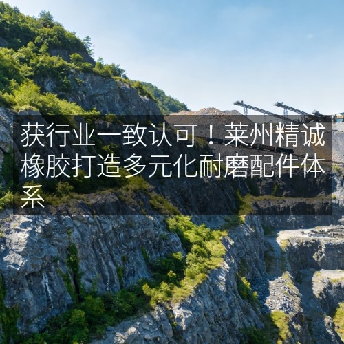 獲行業(yè)一致認(rèn)可！萊州精誠橡膠打造多元化耐磨配件體系