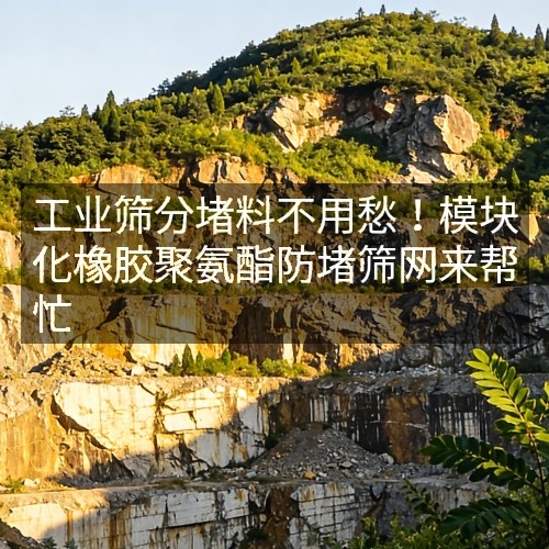 工業(yè)篩分堵料不用愁！模塊化橡膠聚氨酯防堵篩網(wǎng)來幫忙