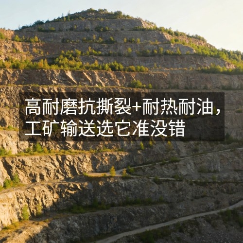 高耐磨抗撕裂+耐熱耐油，工礦輸送選它準(zhǔn)沒錯(cuò)