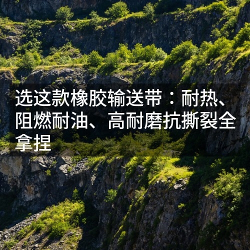 選這款橡膠輸送帶：耐熱、阻燃耐油、高耐磨抗撕裂全拿捏