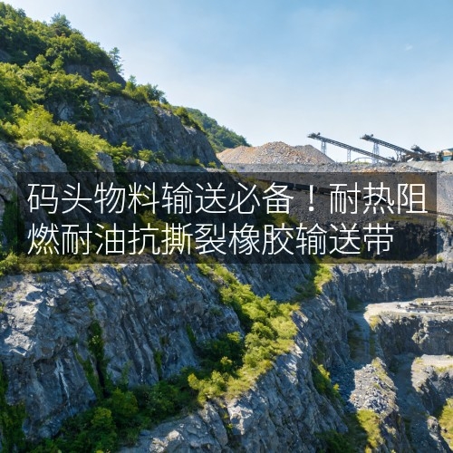 碼頭物料輸送必備！耐熱阻燃耐油抗撕裂橡膠輸送帶