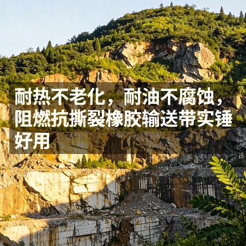 耐熱不老化，耐油不腐蝕，阻燃抗撕裂橡膠輸送帶實(shí)錘好用