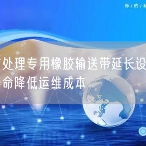 尾礦處理專(zhuān)用橡膠輸送帶延長(zhǎng)設(shè)備使用壽命降低運(yùn)維成本