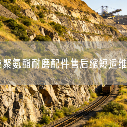 快速響應(yīng)聚氨酯耐磨配件售后縮短運(yùn)維等待時(shí)長(zhǎng)