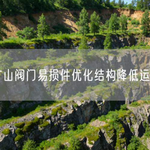 銅礦礦山閥門易損件優(yōu)化結(jié)構(gòu)降低運(yùn)維難度