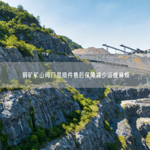銅礦礦山閥門易損件售后保障減少運(yùn)維麻煩
