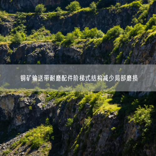 銅礦輸送帶耐磨配件階梯式結構減少局部磨損