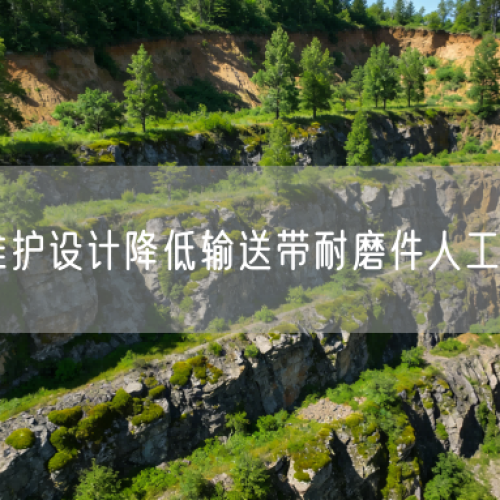 免維護(hù)設(shè)計降低輸送帶耐磨件人工成本